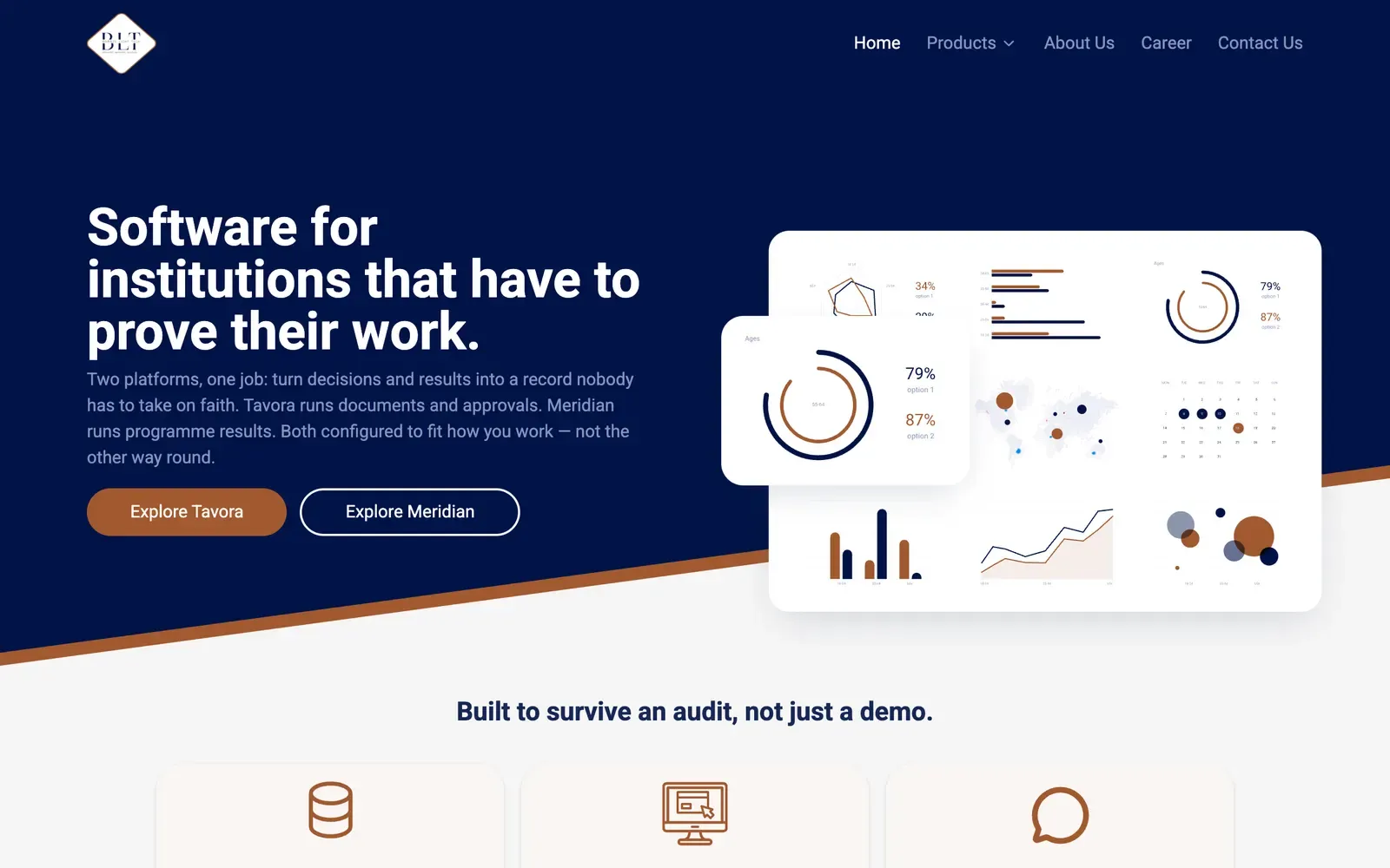Bronze-Light Tech home page with the headline Software for institutions that have to prove their work