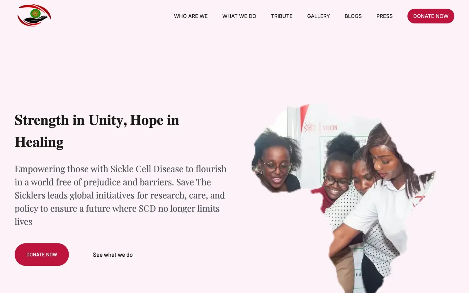 Save The Sicklers home page with the headline Strength in Unity, Hope in Healing